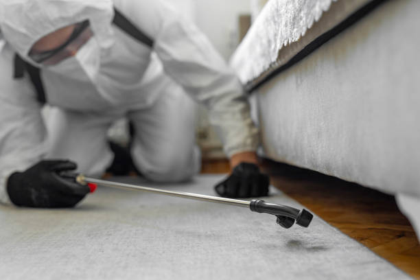 Professional Bed Bug Control technician working in Escambia County County, AL